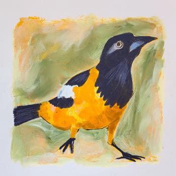 Orangetrupial - Mixed Media Zeichnung